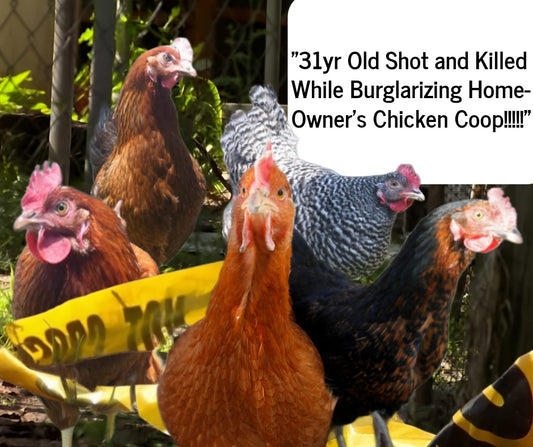 "HOUSE of Terence Clay Wall Art - CLAY Enterprise Newsletters - Chicken Coop Murder in Orlando Digital Collage" print on photo paper